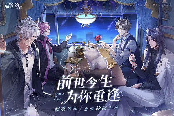 猫之宿约者内购破解版4