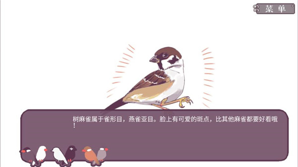 文鸟恋爱物语破解版3