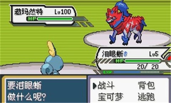 口袋妖怪剑盾汉化破解版3