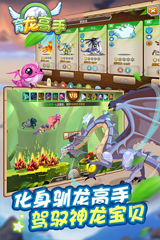 育龙高手小米版2