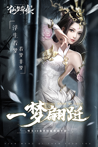 仙梦奇缘破解版2