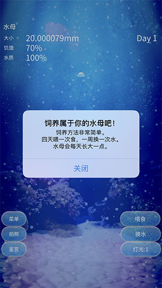 养育水母的治愈游戏中文版4