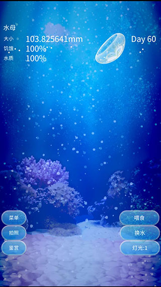养育水母的治愈游戏中文版5