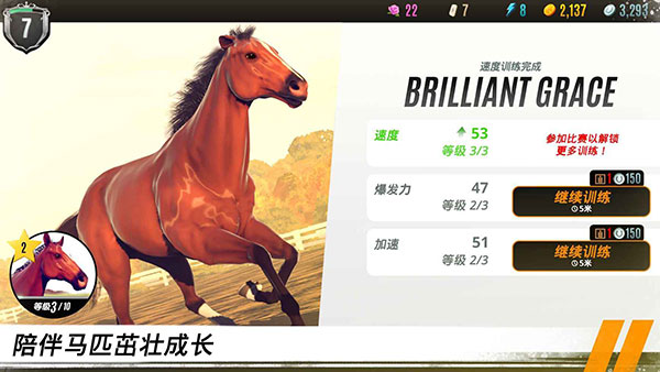家族传奇马匹养成竞技3