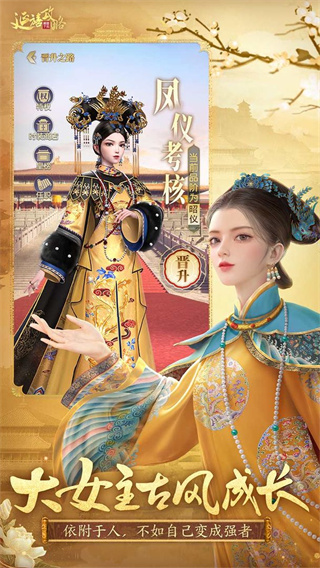 延禧攻略之凤凰于飞正式版5
