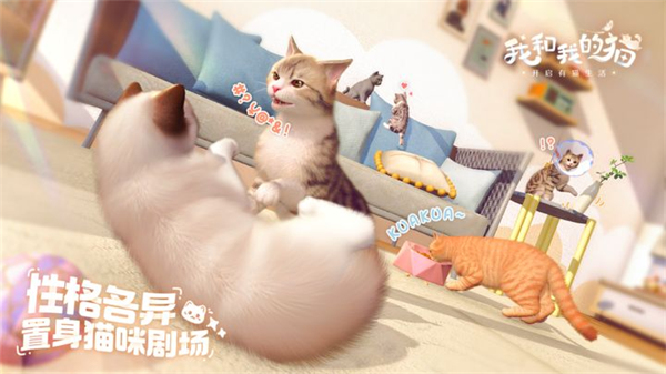 我和我的猫测试服1