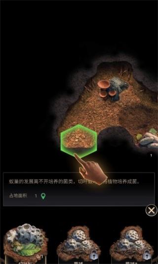 蚂蚁地下王国国际服5