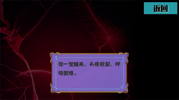 真的要写破解版5