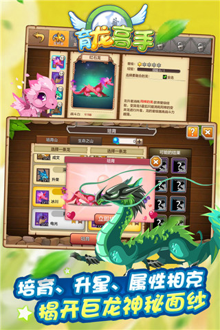 育龙高手5