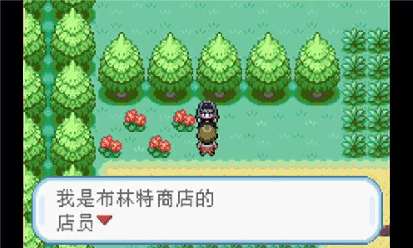口袋妖怪火红4