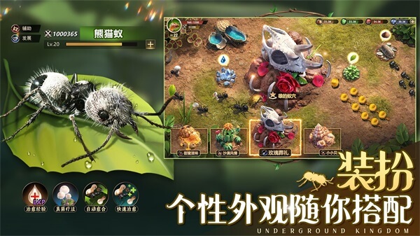 小小蚁国vivo版1