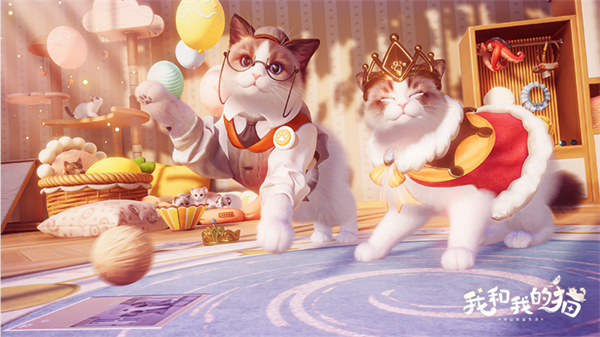 我和我的猫2