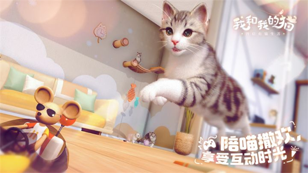 我和我的猫测试服2