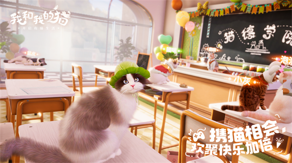 我和我的猫1