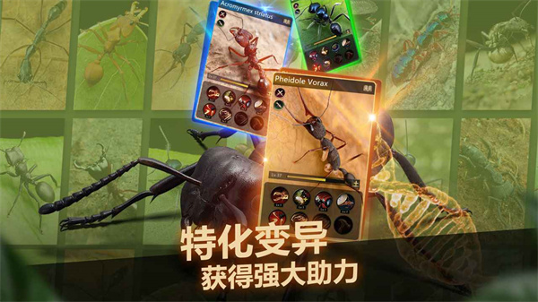 小小蚁国官方版4