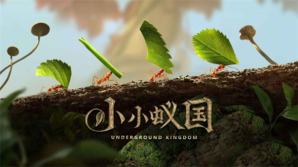 小小蚁国华为版1