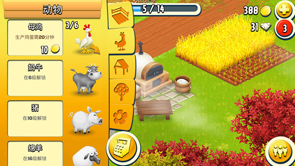 hay day4