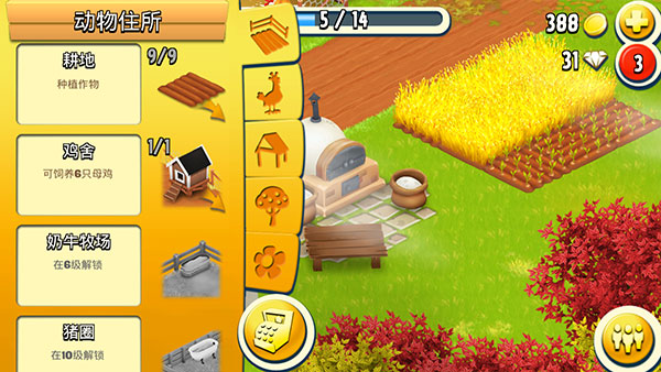 hay day5