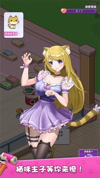 我的猫咪小家2