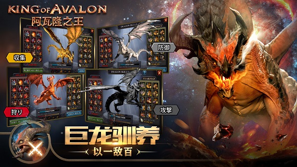 阿瓦隆之王满v版1