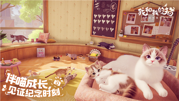 我和我的猫5