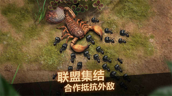 小小蚁国官方版5