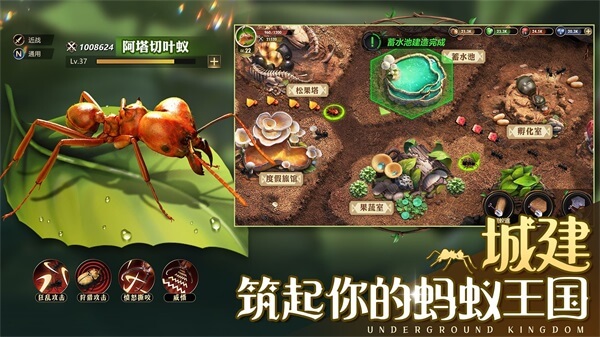 小小蚁国vivo版2