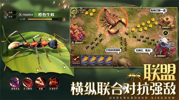 小小蚁国vivo版3