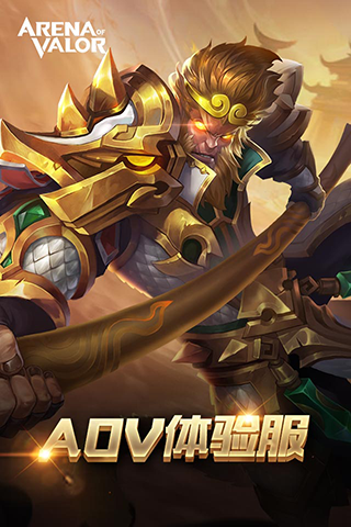 arena of valor先行服5
