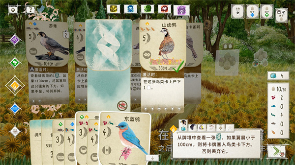 展翅翱翔3