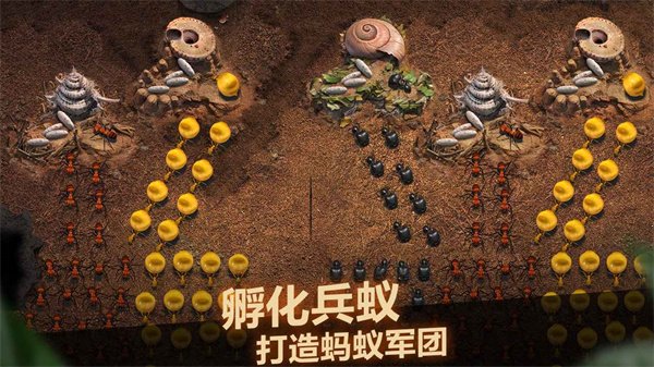 小小蚁国华为版4
