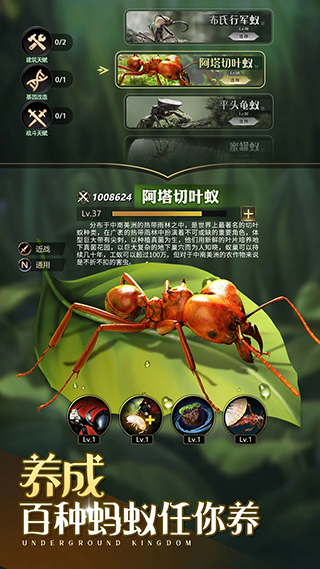小小蚁国应用宝版1