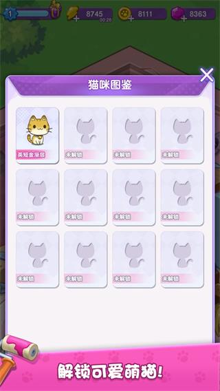 我的猫咪小家3