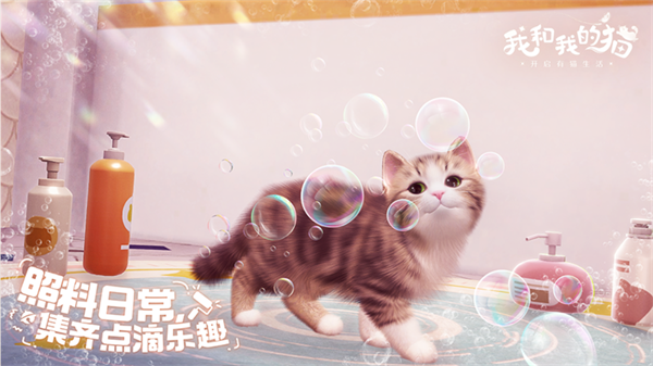 我和我的猫3
