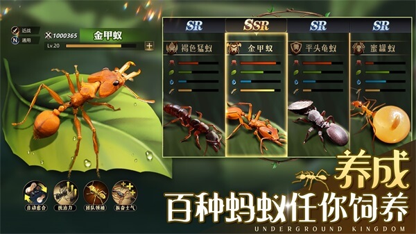 小小蚁国vivo版4