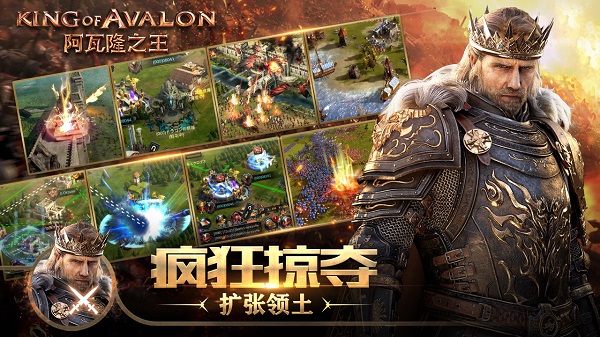 阿瓦隆之王满v版4