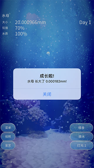 养育水母的治愈游戏中文版3