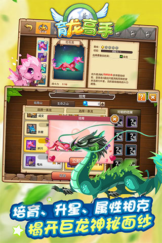 育龙高手小米版5