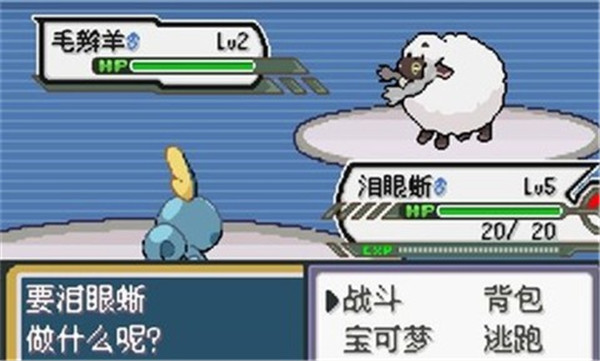 口袋妖怪剑盾汉化破解版2