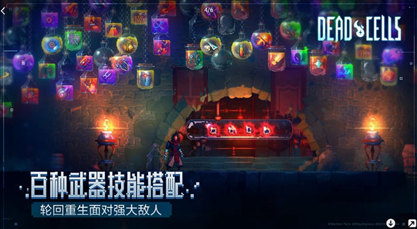 DeadCells国际版4