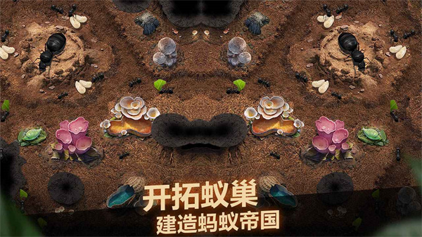 小小蚁国华为版3