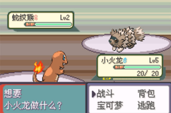 口袋妖怪传说绿宝石5