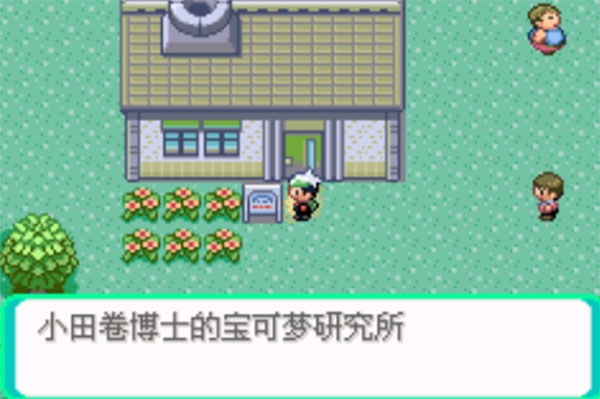 口袋妖怪传说绿宝石3