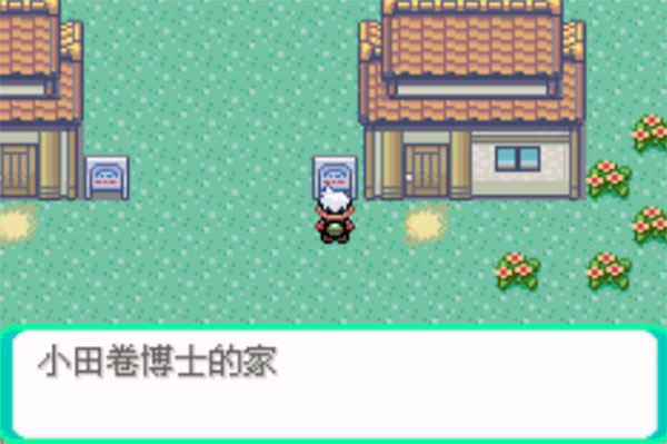口袋妖怪传说绿宝石4