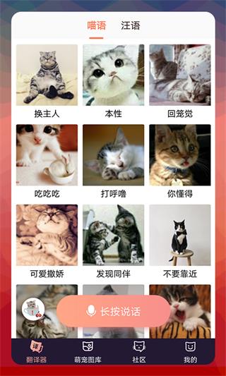 猫语翻译器3