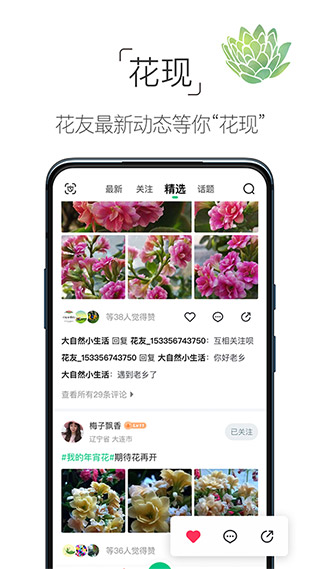 养花大全5