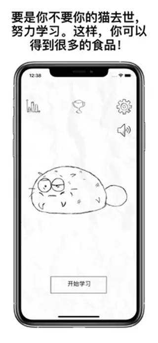 fatty cat5