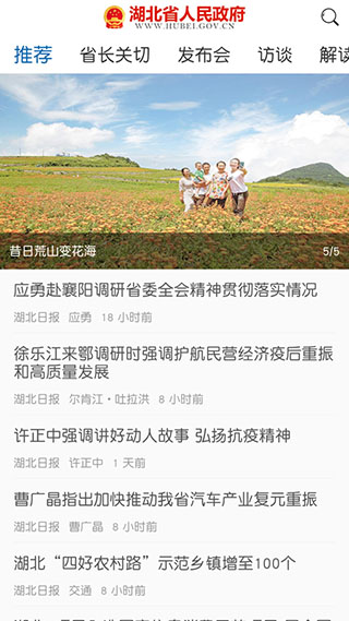 湖北省政府app2