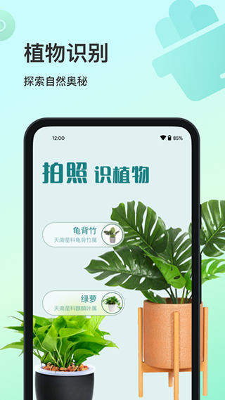 花卉识别app5