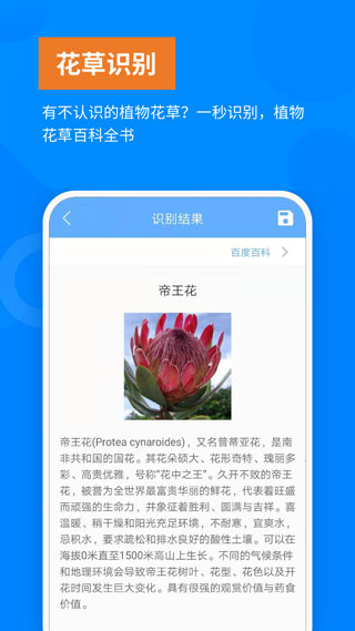洋果扫描王4